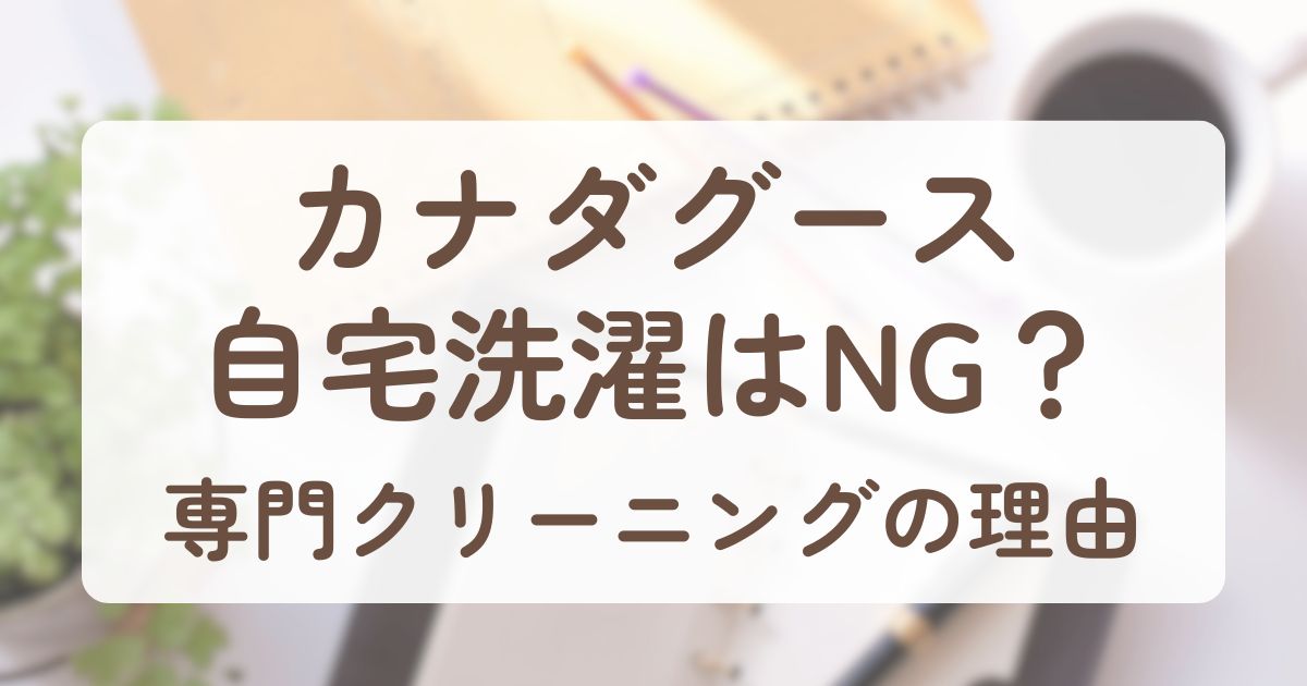アイキャッチ_カナダグース