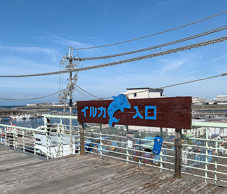 市場の2階へ上がると見える「イルカ入口」