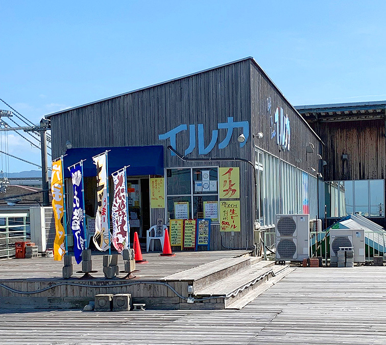「お食事処イルカ」の入口